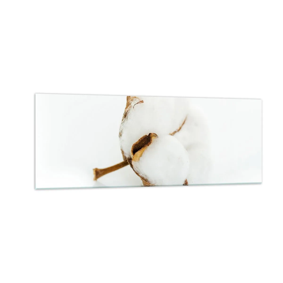 Tablou pe sticlă - Moale prin natură - 140x50 cm