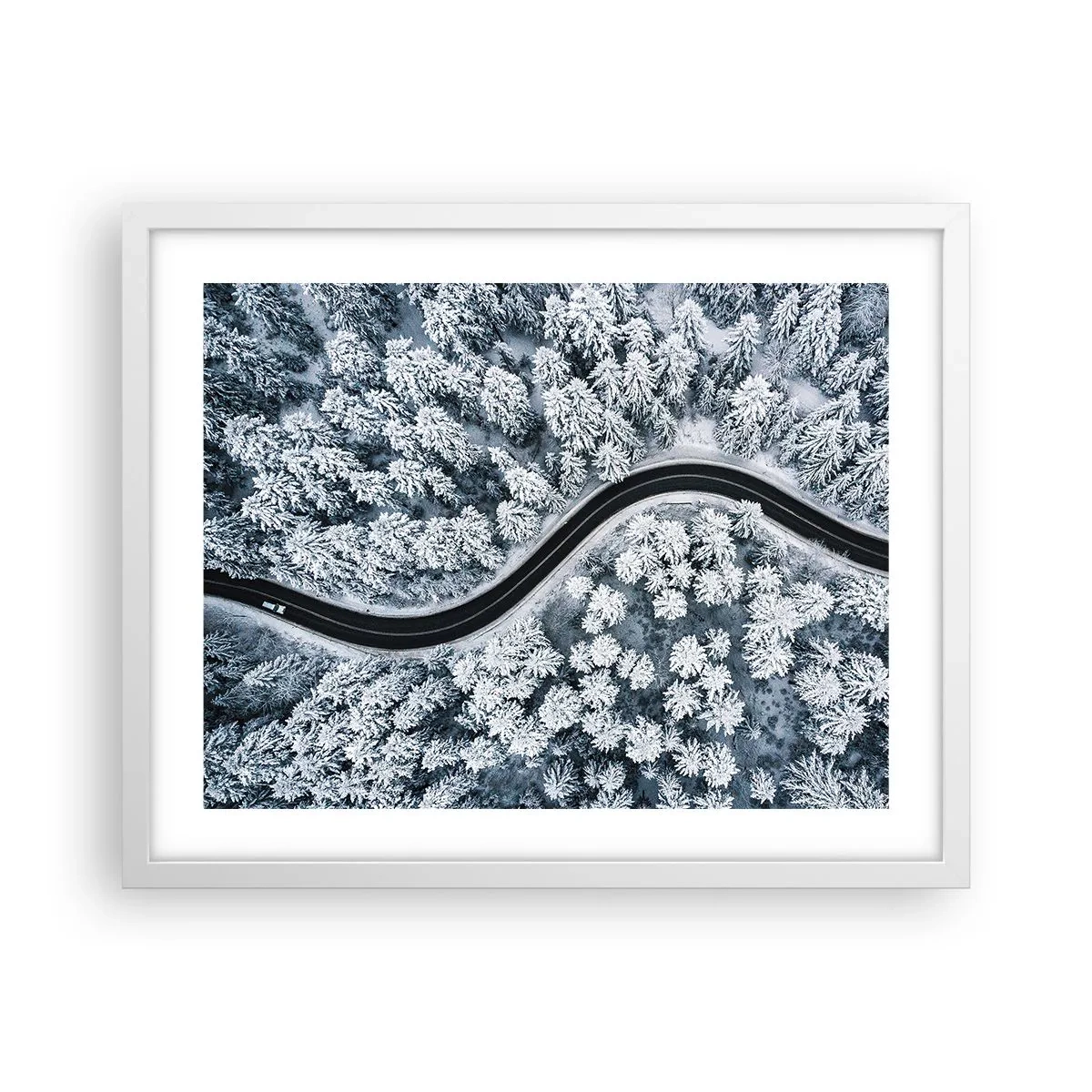 Poster în ramă albă - Prin pădurea de iarnă - 50x40 cm