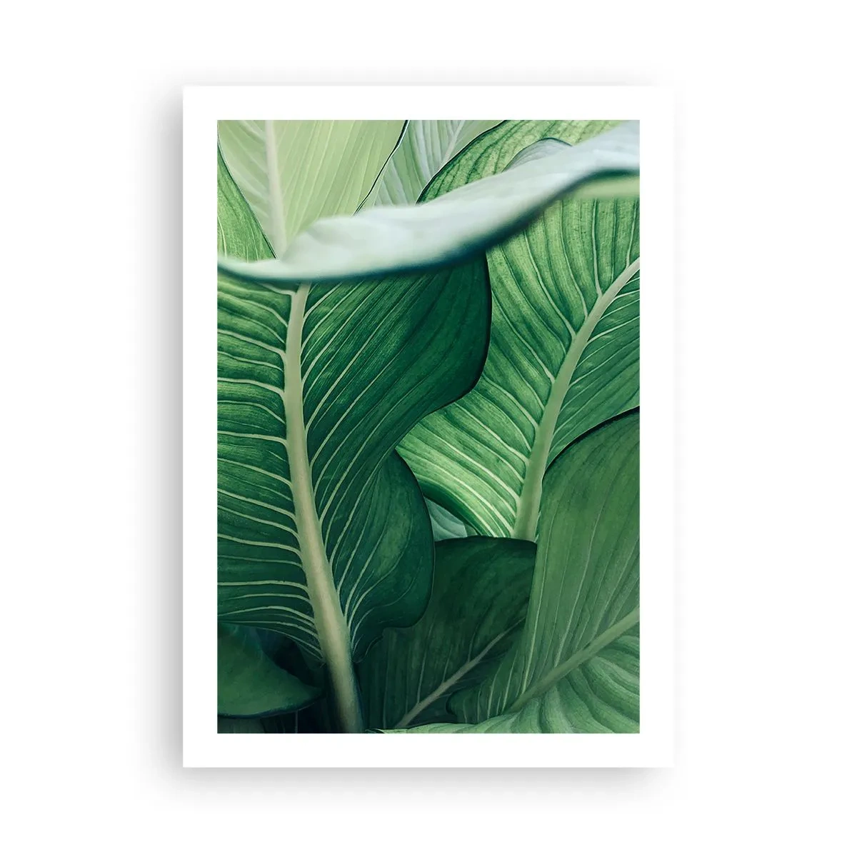 Poster - Viață intensă în verde - 50x70 cm