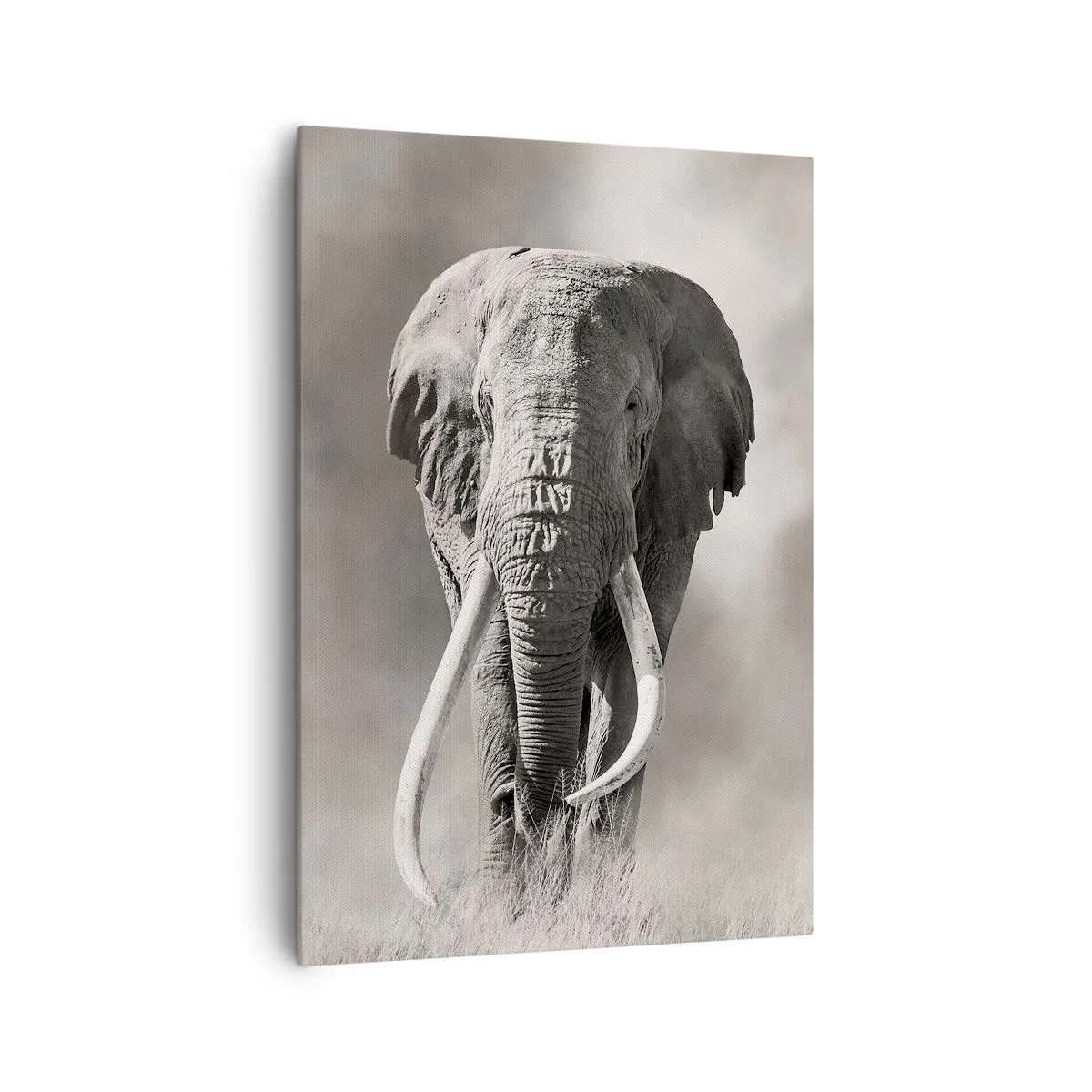 Tablou pe pânză - Patriarh african - 70x100 cm