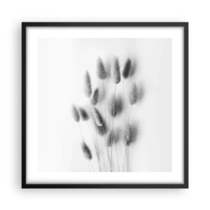 Poster în ramă neagră - Pufoșenia ierbii - 50x50 cm