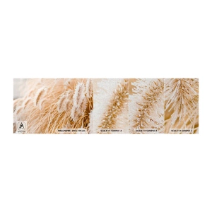 Mostră tapet Premium Canvas - Foșnetul auriu al ierburilor - Iarbă de pampas, luncă, Natură - 100x30 cm