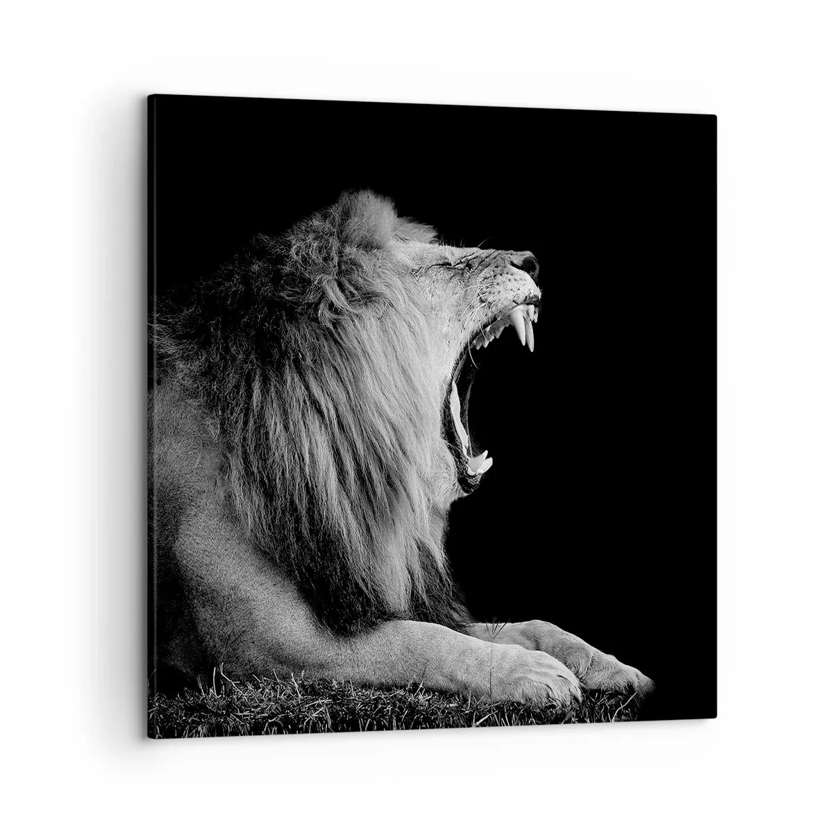 Tablou pe pânză - Fără nici o ezitare - 50x50 cm