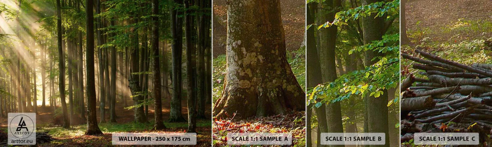 Mostră tapet Premium Canvas - Strălucitoare într-o dimineață de primăvară - Peisaj, pădure, Parc - 100x30 cm