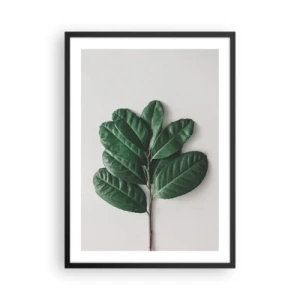 Poster în ramă neagră - O ramură cu frunze verde închis pe un fundal deschis - 50x70cm - Desenul naturii însăși - Decorațiune modernă pentru perete pentru living și dormitor ARTTOR
