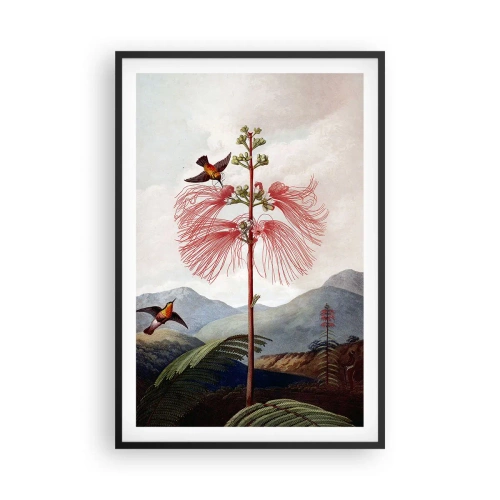 Poster în ramă neagră - Într-un paradis tropical - 61x91 cm