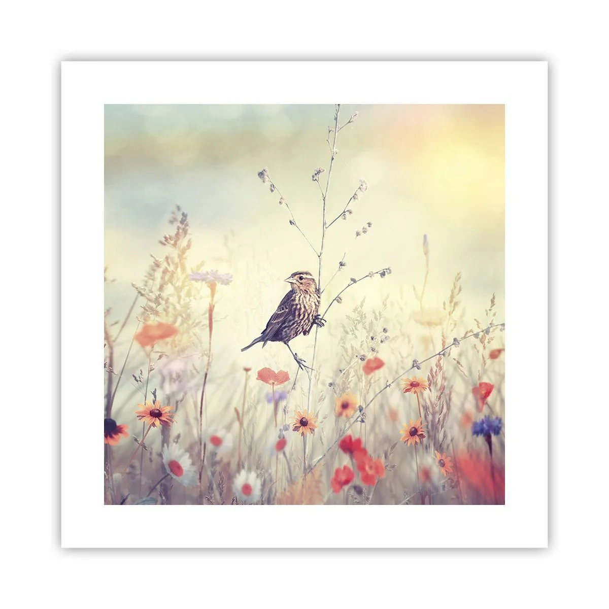 Poster - Portret de pasăre cu o pajiște în fundal - 40x40 cm