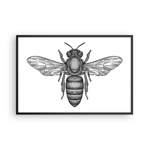 Poster în ramă neagră - Portret de insectă - 91x61 cm