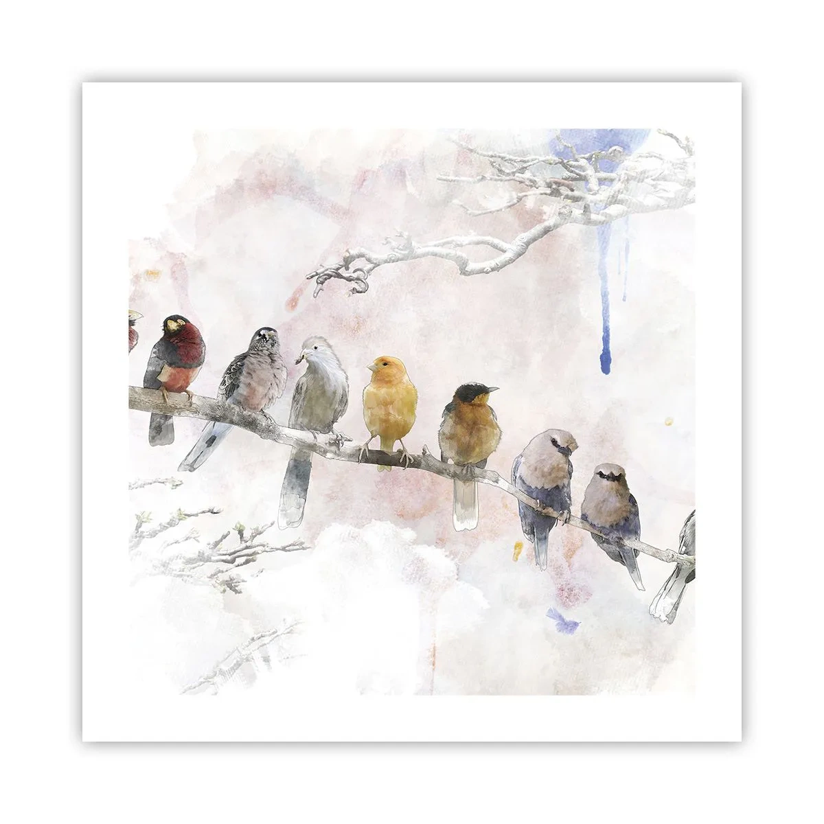 Poster - Întâlnire înaripată - 50x50 cm