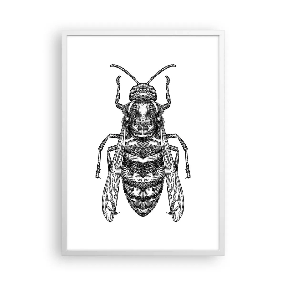 Poster în ramă albă - De pe o planetă de insecte - 50x70 cm