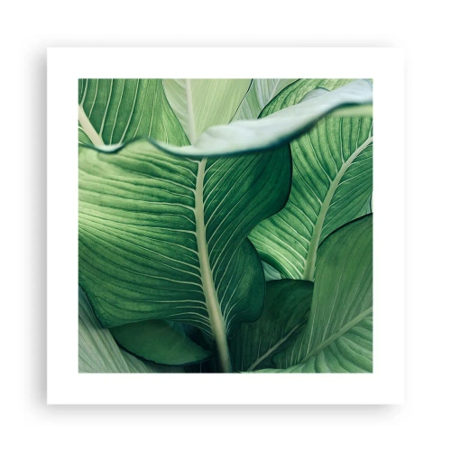Poster - Viață intensă în verde - 40x40 cm