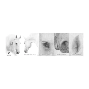 Mostră tapet Premium Canvas - Este aceasta o prietenie...? - Cai, Natură, Animale - 100x30 cm