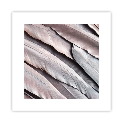 Poster - Argintul roz - 30x30 cm