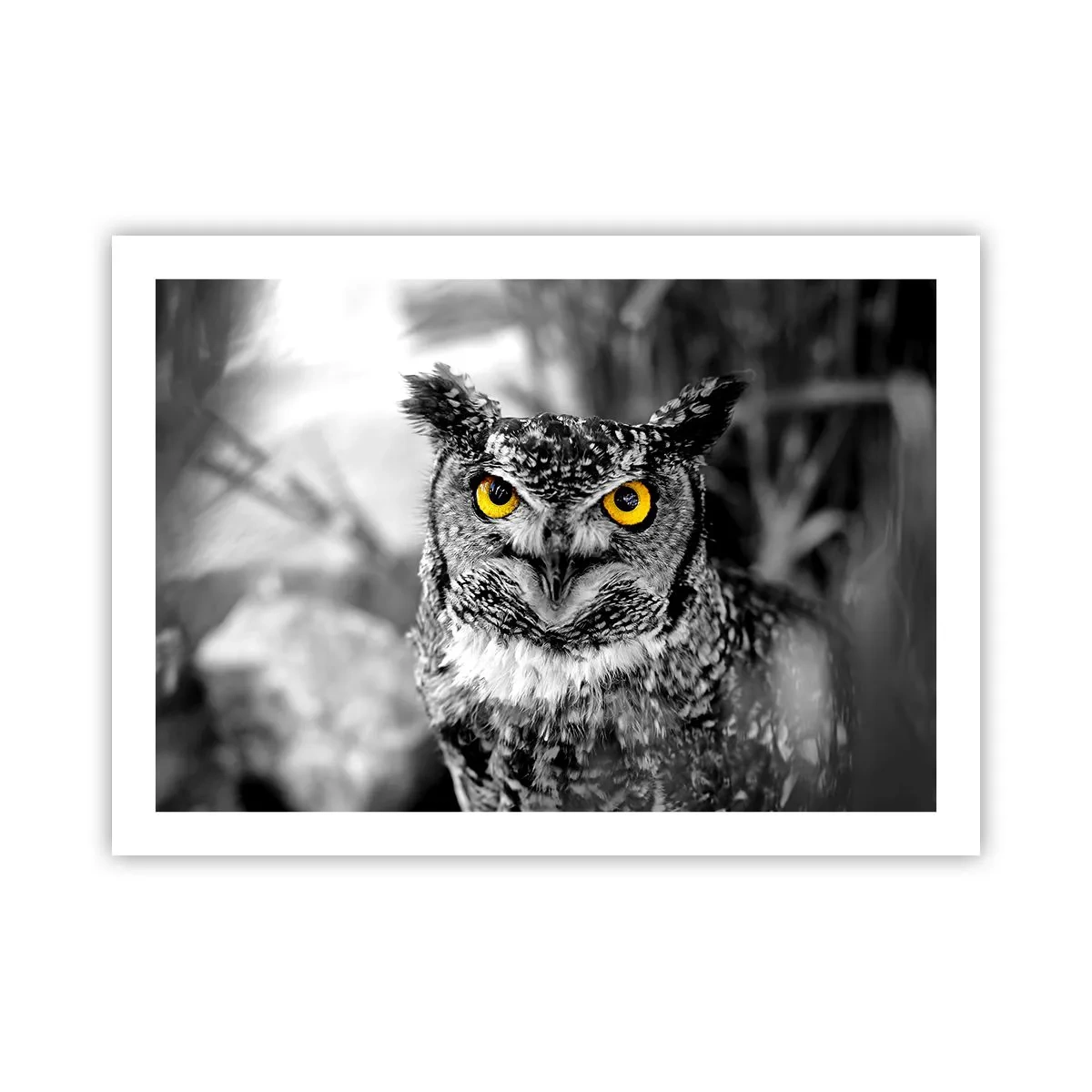 Poster - Nimic nu poate fi ascuns - 70x50 cm
