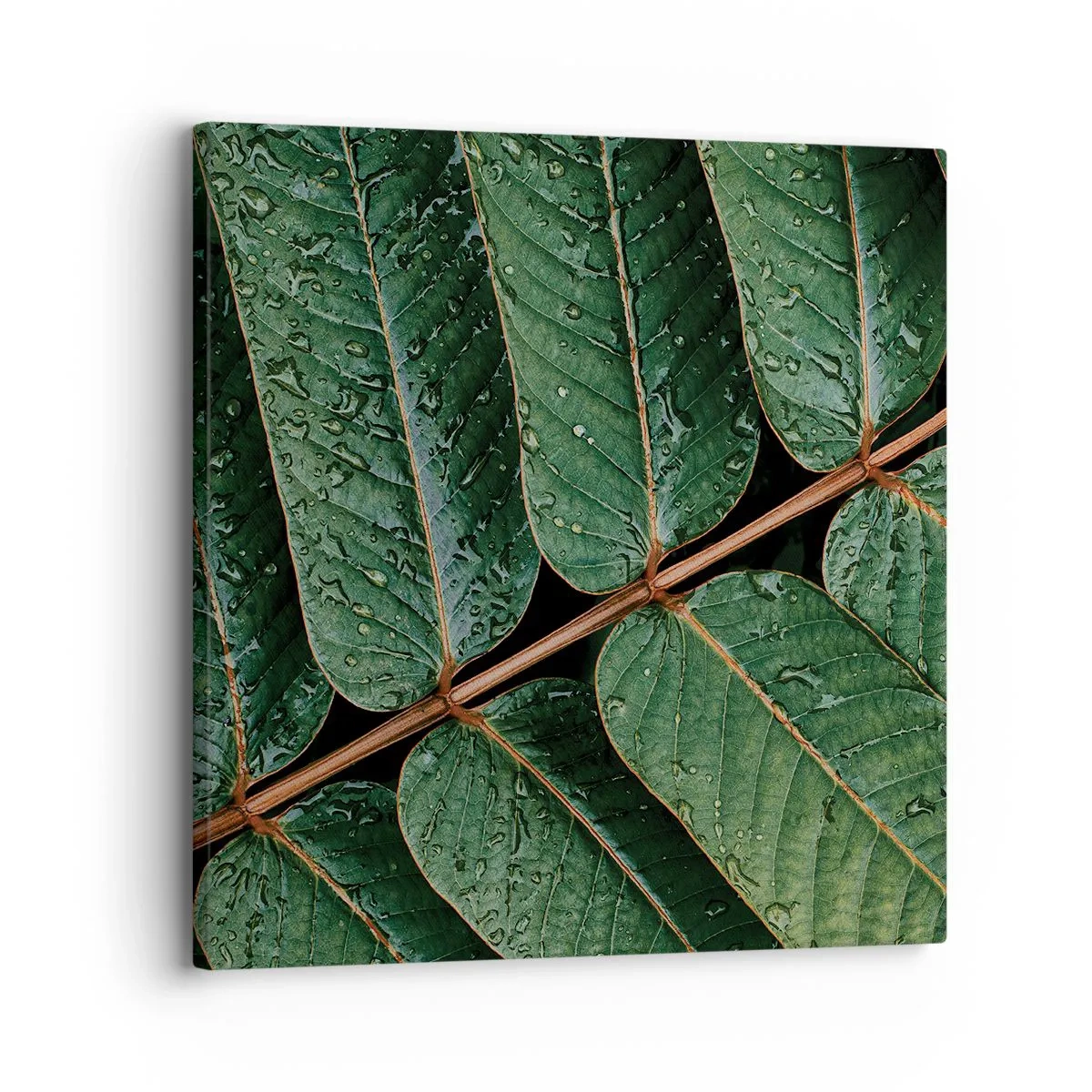 Tablou pe pânză - Într-un ritm verde - 30x30 cm