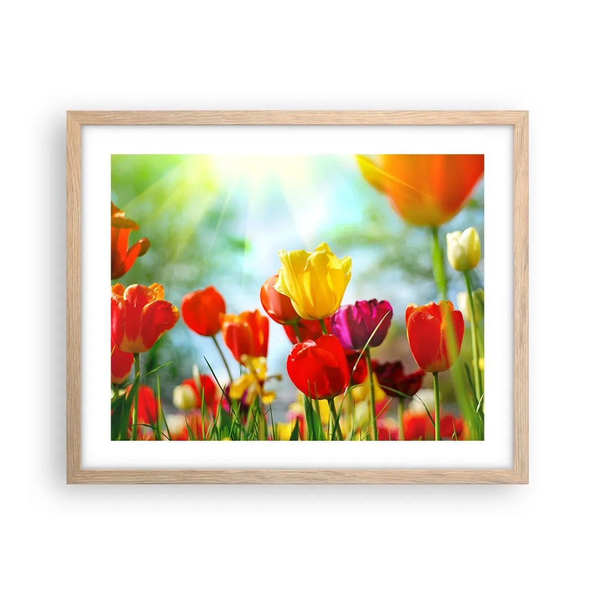 Poster în ramă de stejar deschis - Toate culorile soarelui - 50x40 cm