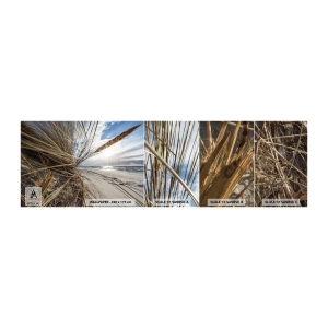 Mostră de Tapet Standard Eco - O întâlnire a elementelor - Peisaj, Mare, Dunele - 100x30 cm