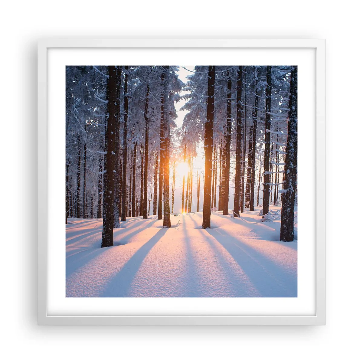 Poster în ramă albă - În mod clar în alb și negru - 50x50 cm