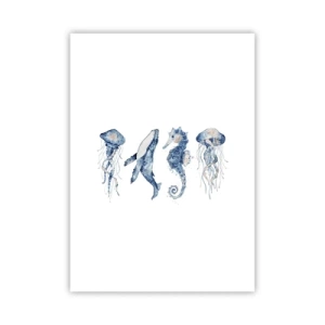 Poster - Fauna marină sălbatică - 50x70 cm