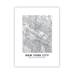 Poster - Anatomia unei metropole - 30x40 cm