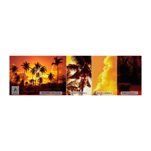 Mostră tapet Premium Canvas - Munții ard, pădurile ard - palmieri, Tropicele, Soare - 100x30 cm