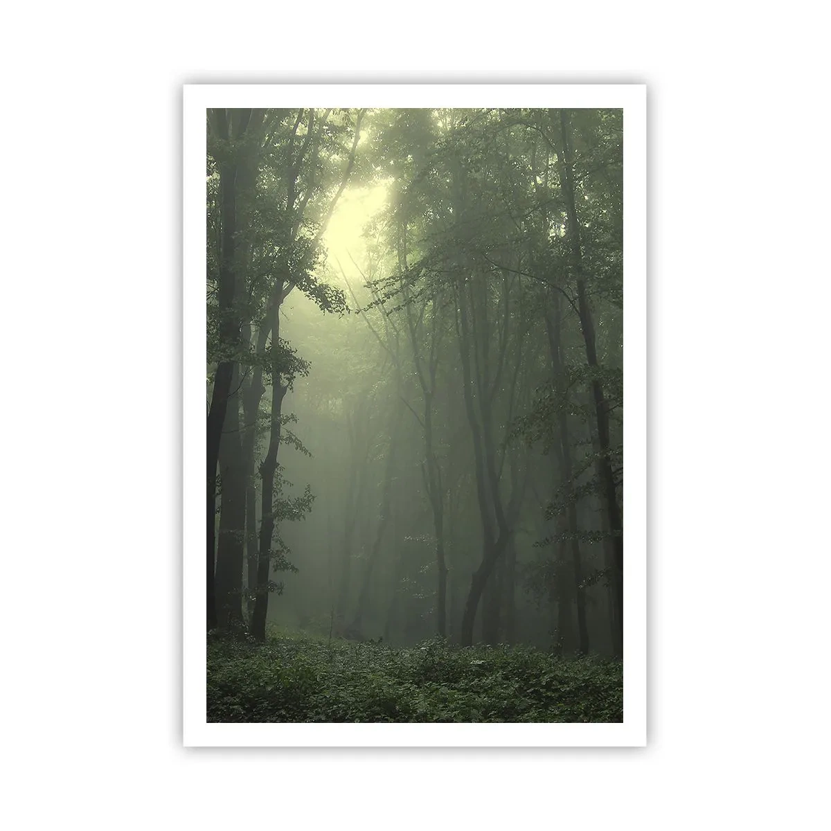Poster - Înainte să se trezească - 70x100 cm