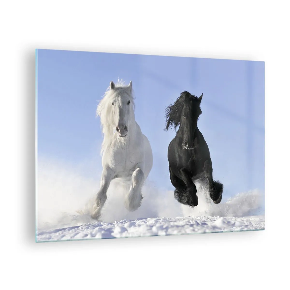 Tablou pe sticlă - Un cal alb-negru alergând prin zăpadă într-un peisaj de iarnă - 70x50cm - Galop de alb și negru - Decorațiune modernă pentru perete pentru living și dormitor ARTTOR
