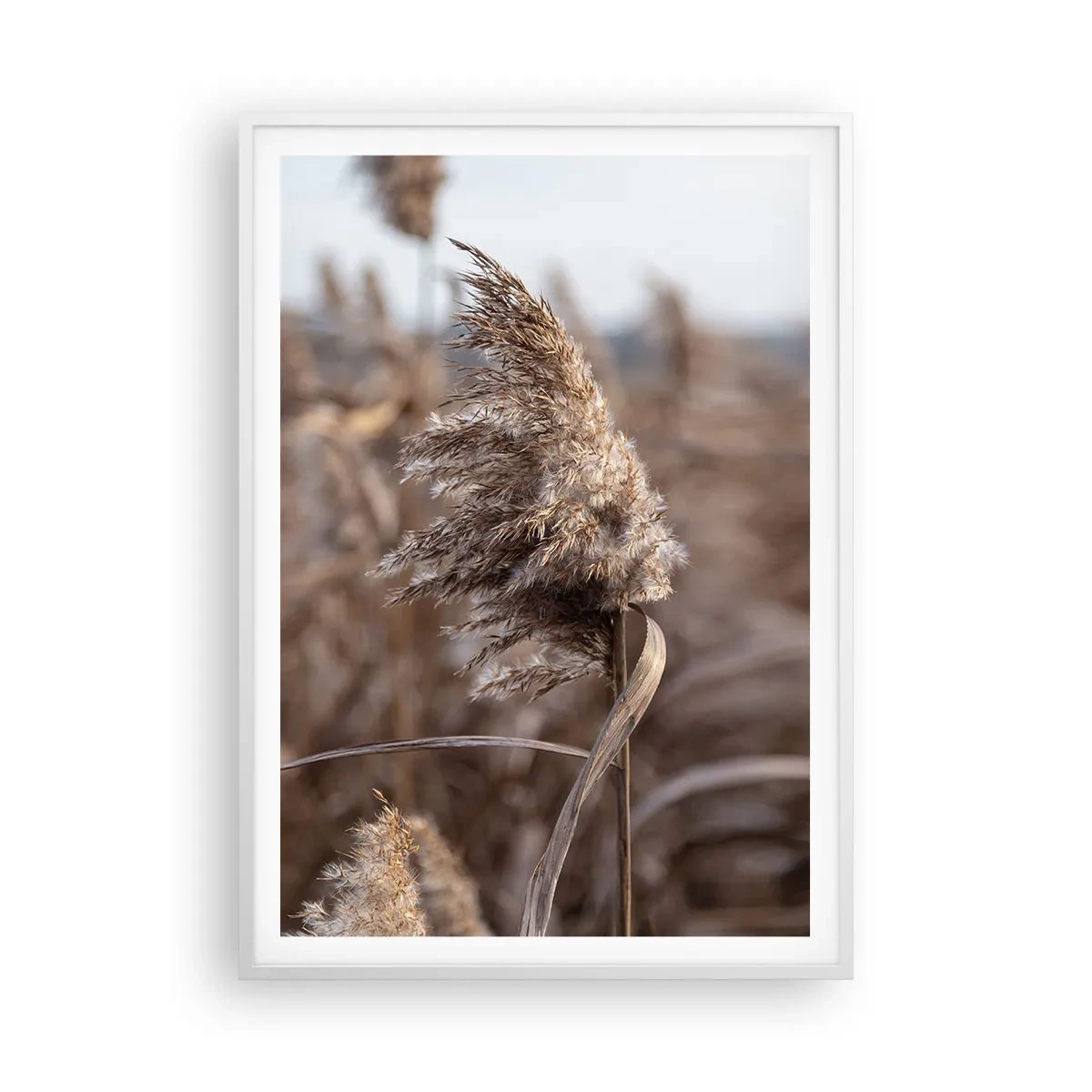 Poster în ramă albă - E timpul să zbori cu vântul - 70x100 cm