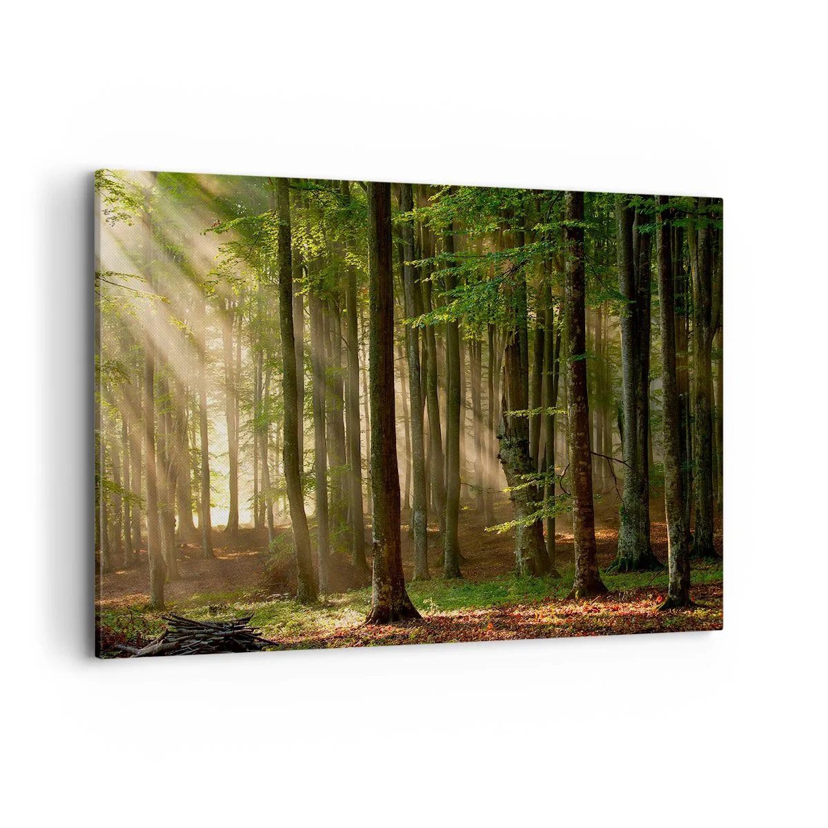 Tablou pe pânză - Strălucitoare într-o dimineață de primăvară - 120x80 cm