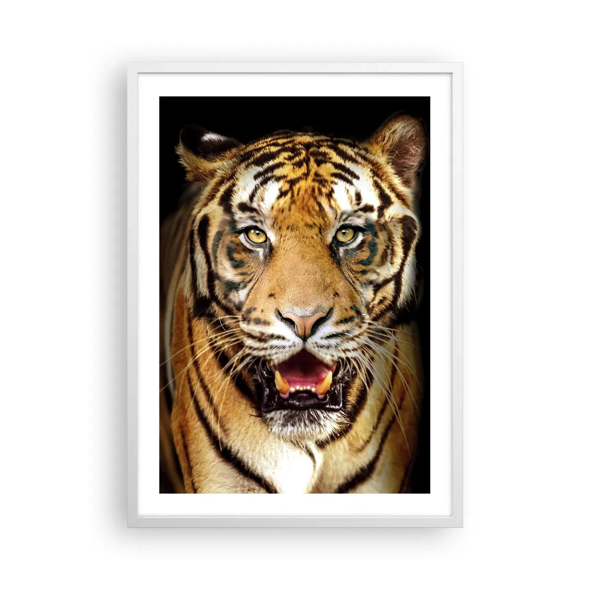 Poster în ramă albă - Sălbăticia inimii - 50x70 cm