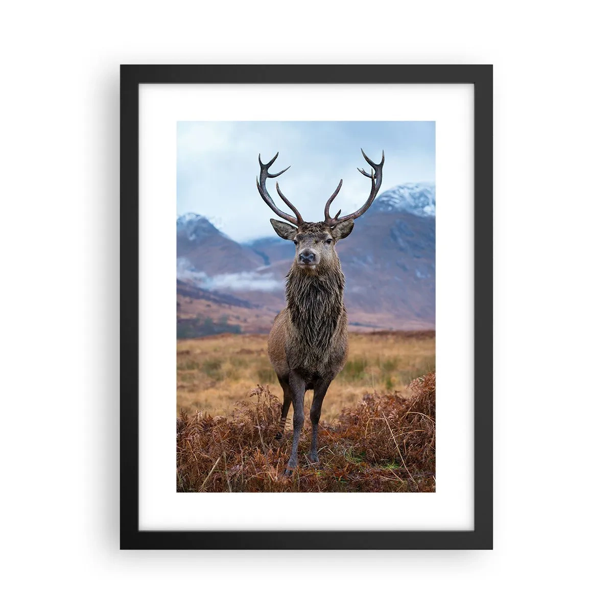 Poster în ramă neagră - Pe propriul lui teritoriu - 30x40 cm