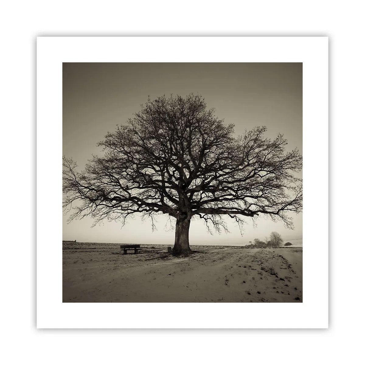 Poster - De aici până în veșnicie - 40x40 cm