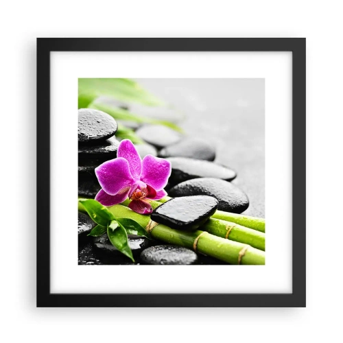 Poster în ramă neagră - Într-un echilibru pașnic - 30x30 cm