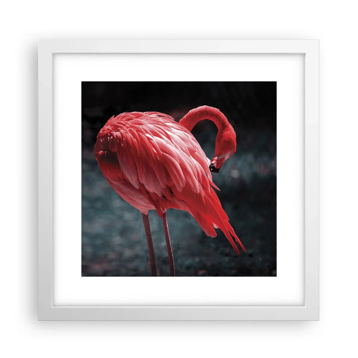 Poster în ramă albă - Poemul purpuriu al naturii - 30x30 cm