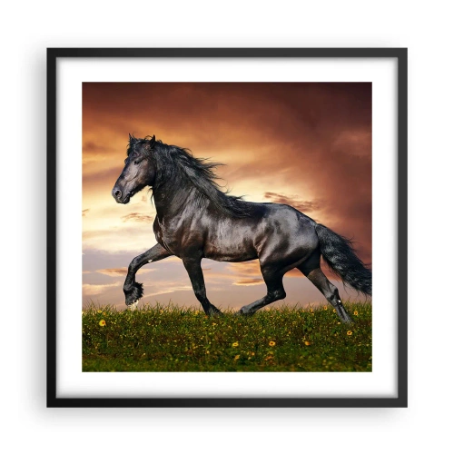 Poster în ramă neagră - Prințul negru - 50x50 cm