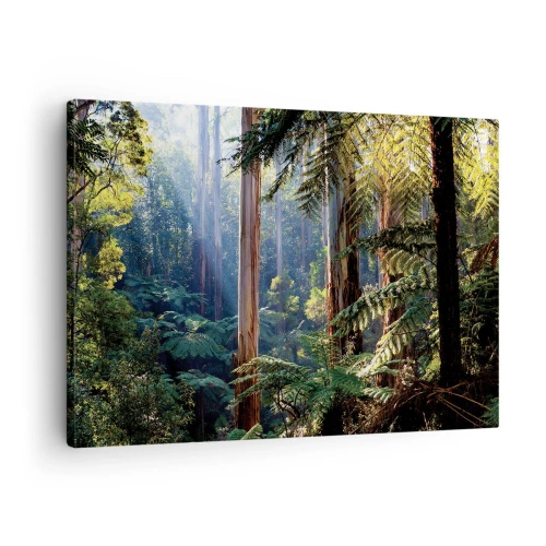 Tablou pe pânză Canvas - Pădurea tropicală iluminată de razele soarelui - 70x50cm - O poveste din pădure - Decorațiune modernă pentru perete pentru living și dormitor ARTTOR