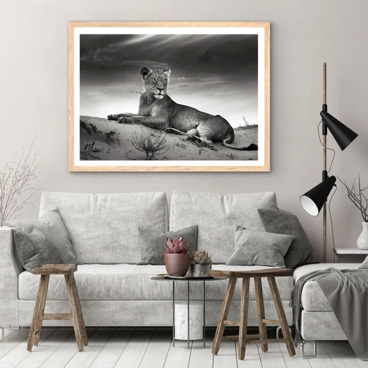 Poster în ramă de stejar deschis - Odihna reginei deșertului - 91x61 cm