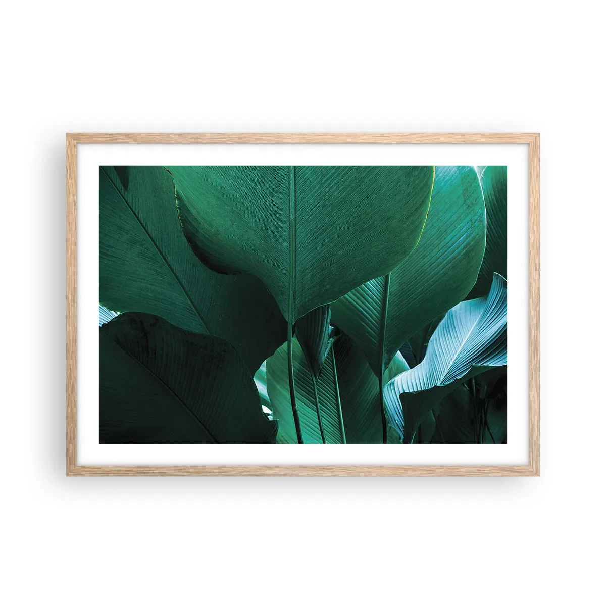 Poster în ramă de stejar deschis - Cu frunza la lumină - 70x50 cm