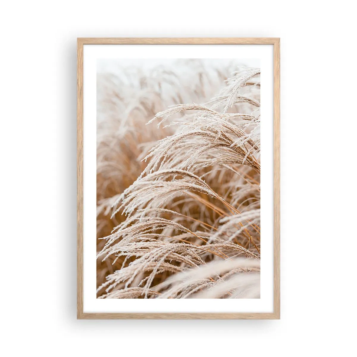 Poster în ramă de stejar deschis - Închinându-se la soarele toamnei - 50x70 cm