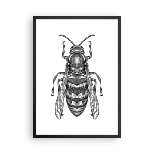 Poster în ramă neagră - Ilustrație detaliată a unei viespi - 50x70cm - De pe o planetă de insecte - Decorațiune modernă pentru perete pentru living și dormitor ARTTOR