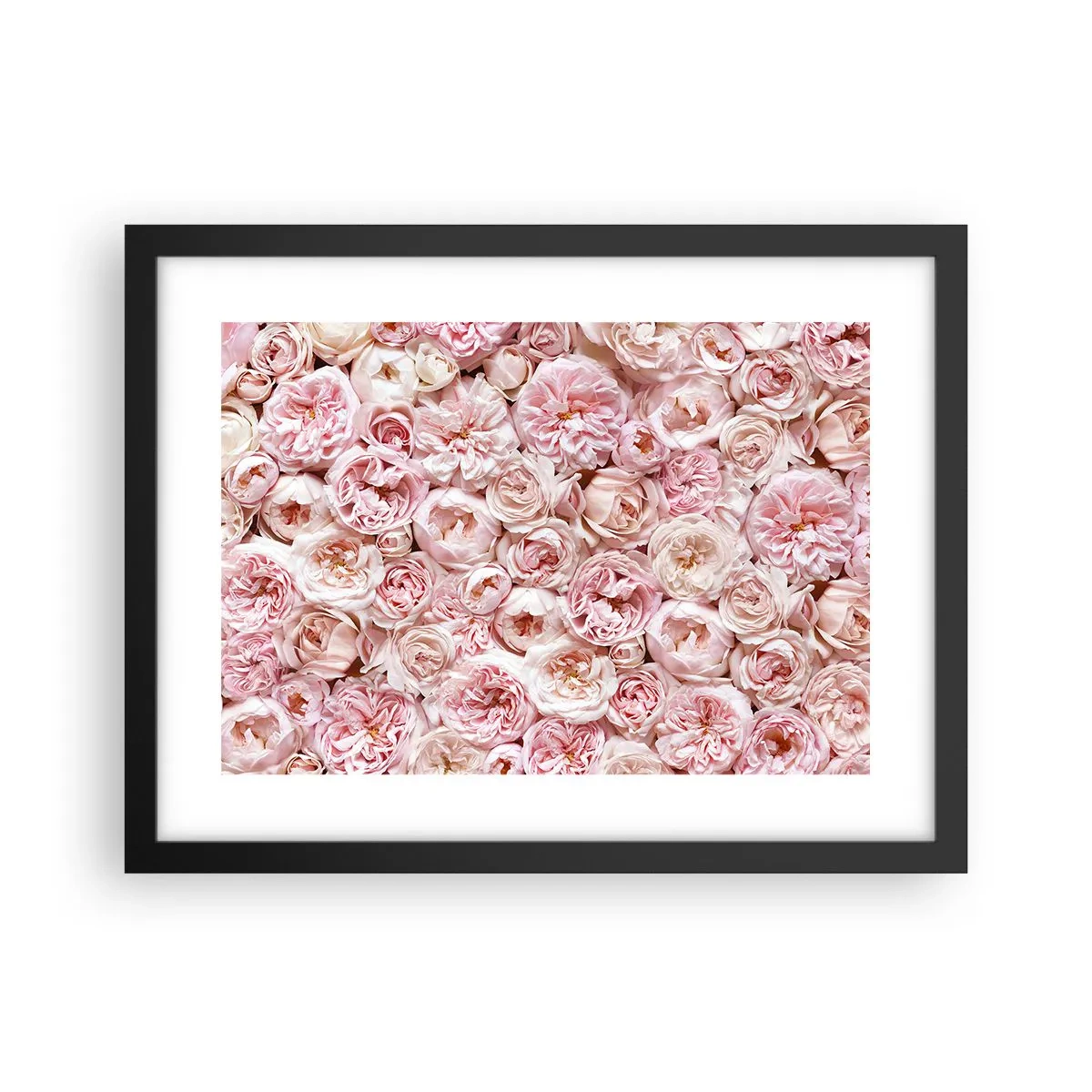 Poster în ramă neagră - Presărat cu trandafiri - 40x30 cm