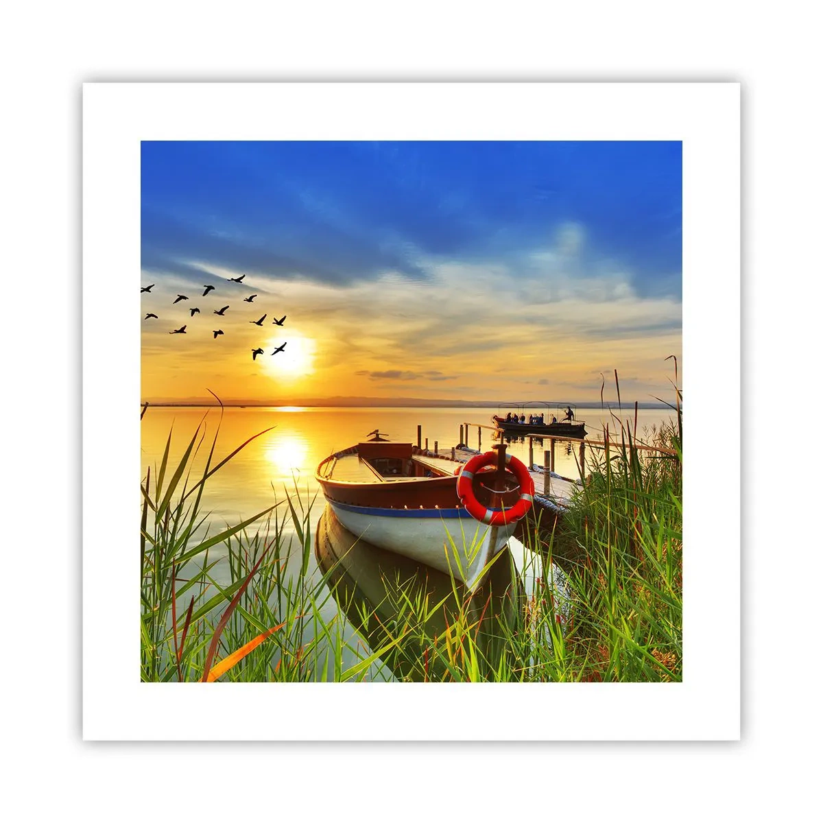 Poster - Cormoranii pleacă deja - 40x40 cm