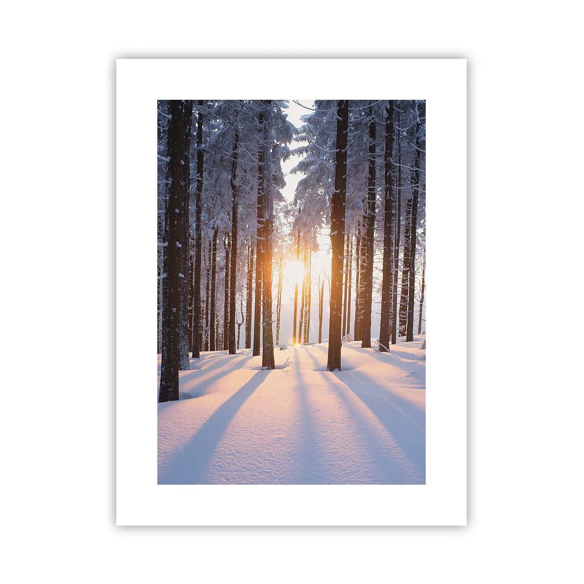 Poster - În mod clar în alb și negru - 30x40 cm