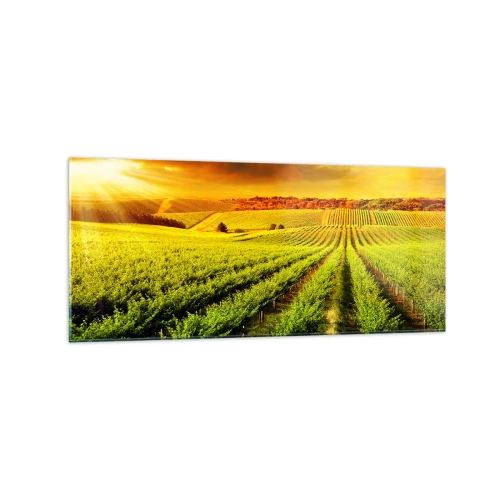Tablou pe sticlă - Sub soarele australian - 120x50 cm