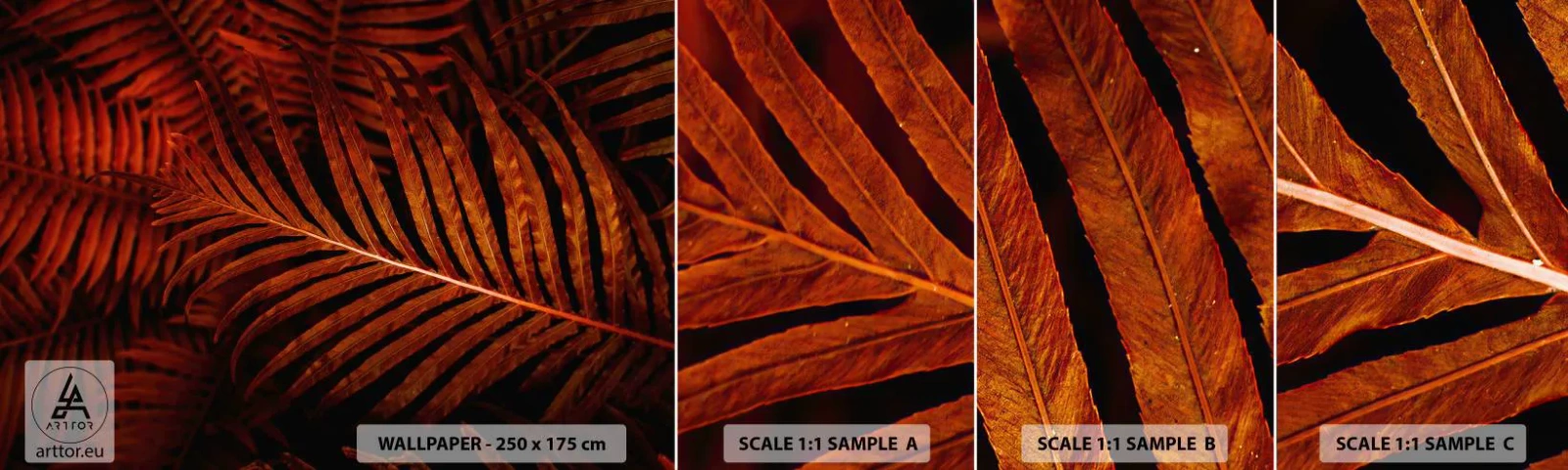 Mostră de Tapet Standard Eco - Ardoarea vieții - Abstracția, Frunze de palmier, Planta tropicala - 100x30 cm