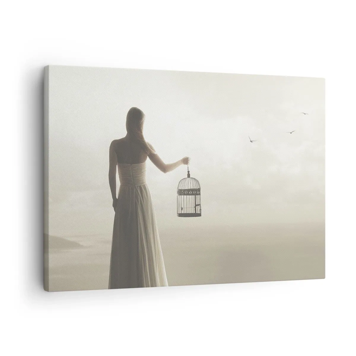 Tablou pe pânză Canvas - O femeie cu o cușcă pe un cer calm - 70x50cm - Fii liberă - Decorațiune modernă pentru perete pentru living și dormitor ARTTOR