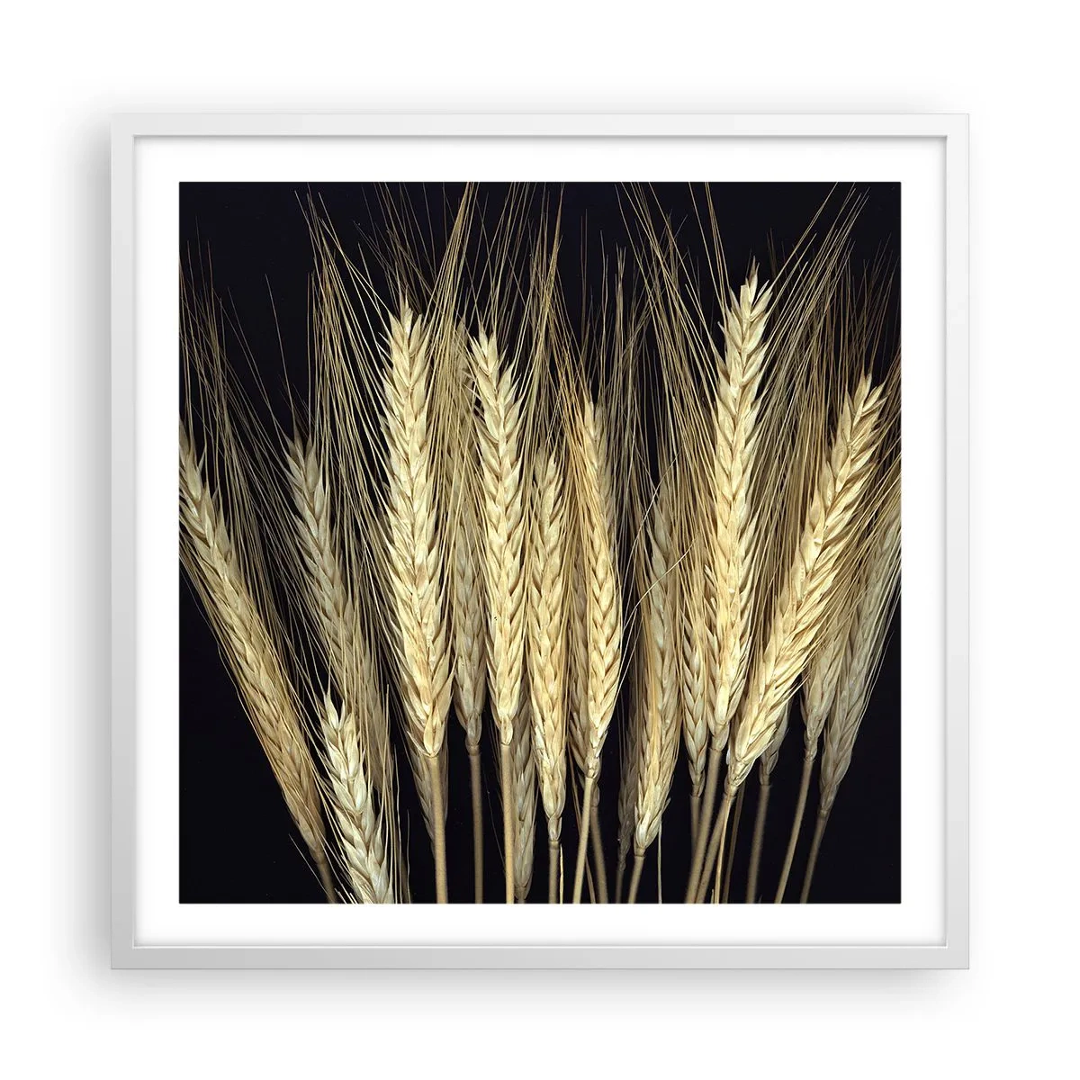 Poster în ramă albă - Magie rustică - 60x60 cm