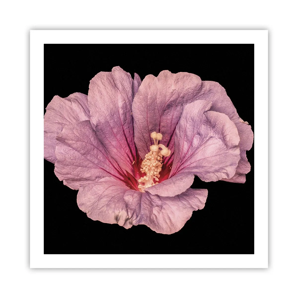 Poster - Direct la inimă - 60x60 cm