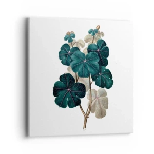 Tablou pe pânză - Dintr-un vechi ierbar - 40x40 cm