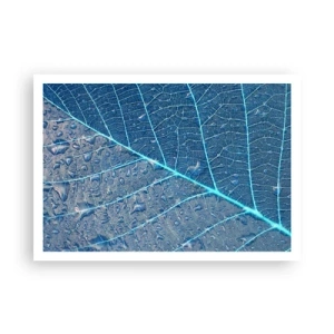 Poster - Viața în albastru - 100x70 cm